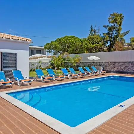 Sea Star By 알부페이라